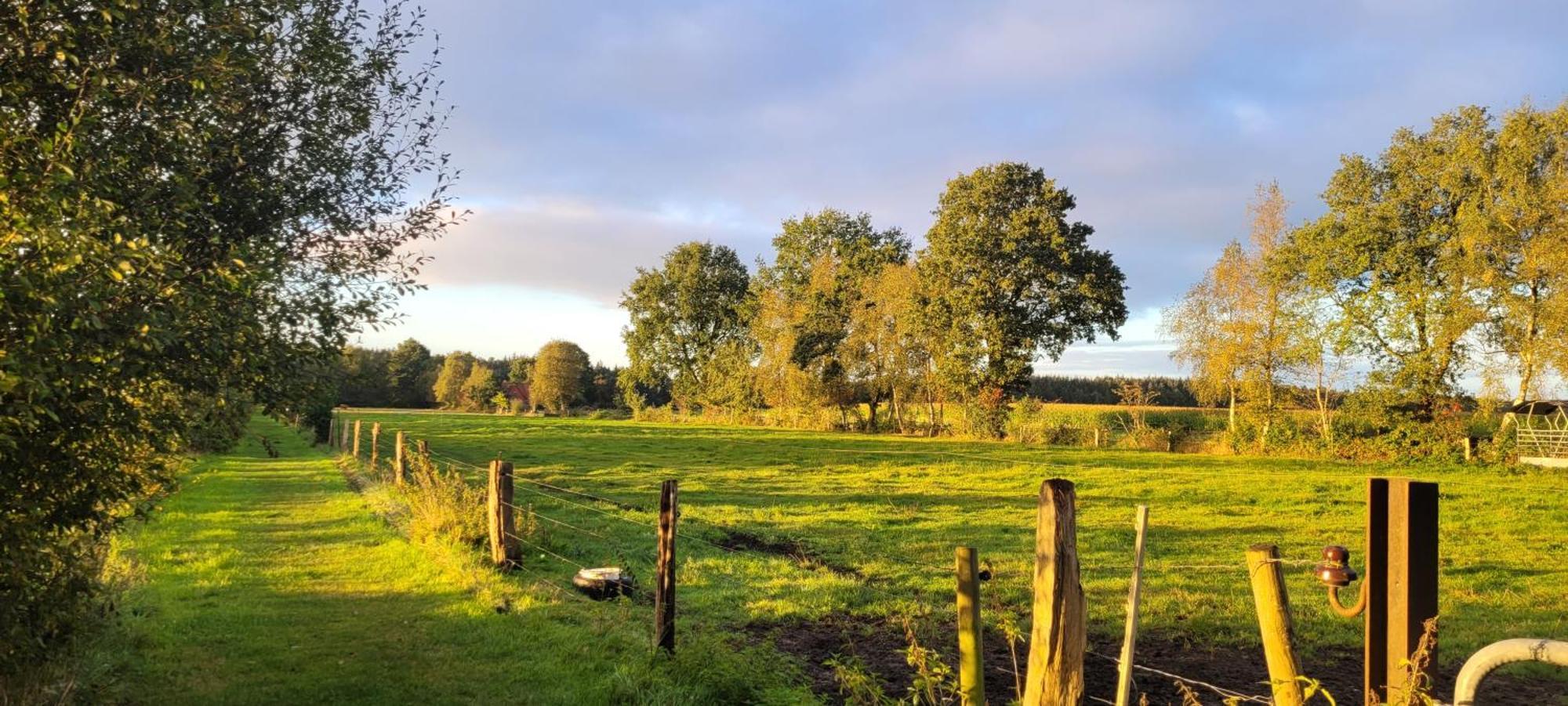 Ferienwohnung Moin Moor Mit Klima, Fussbodenheizung Und Wlan Gnarrenburg Exterior foto